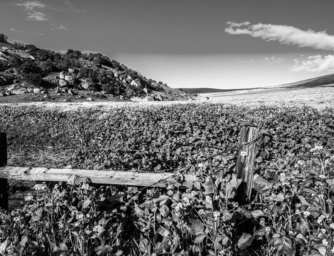 Noah Jigsaw Puzzle Gorgeous sunset at Pura Ulun Danu Bratan temple in Bali in black white 1000 pieces