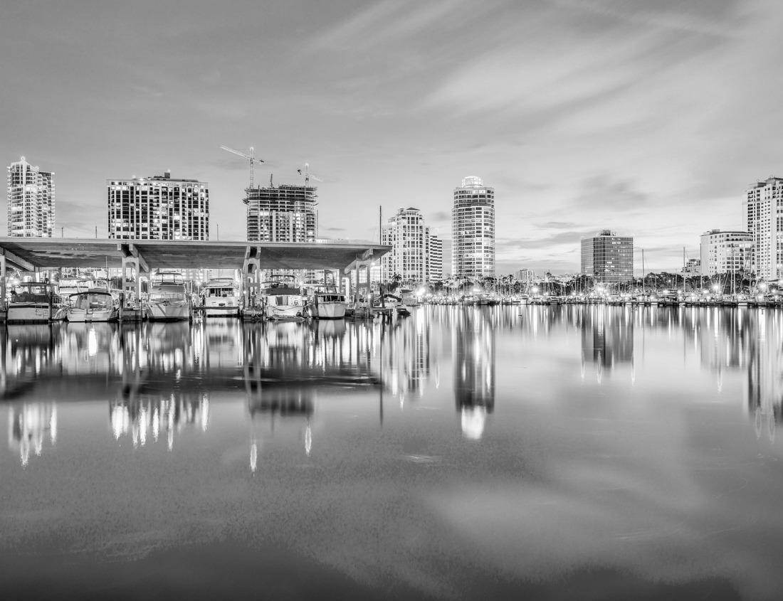 Noah Jigsaw Puzzle Colorful flowers and city of Boise Idaho in black white 1000 pieces