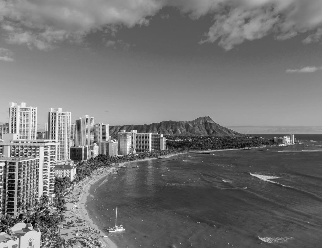 Noah Jigsaw Puzzle Autumn view over the historic city of Montpelier, Vermont, USA with church spires and colorful fall leaves in black white 1000 pieces