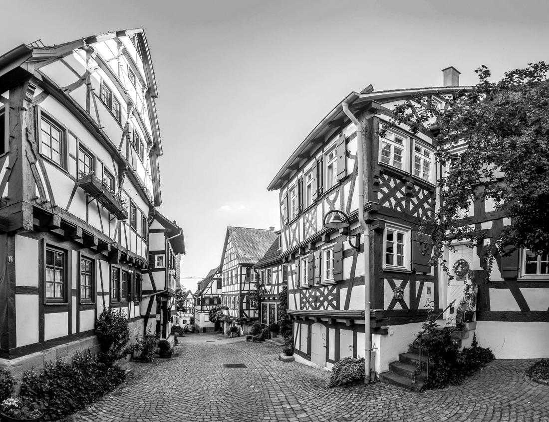 Noah Jigsaw Puzzle A beautiful summer scenes, such as the Trout River through the Boreal Forest in the Northwest Territories, Canada in black white 1000 pieces