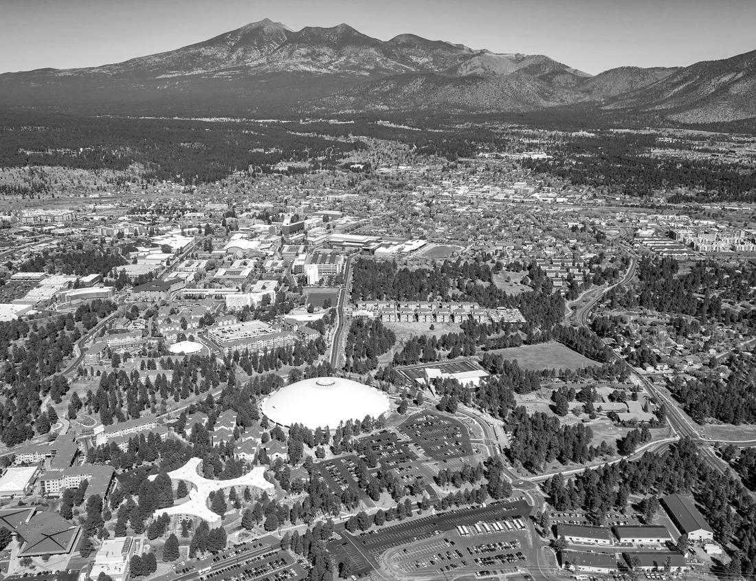 Noah Jigsaw Puzzle Aerial view of Maringa, cathedral and city center. Several buildings in black white 1000 pieces