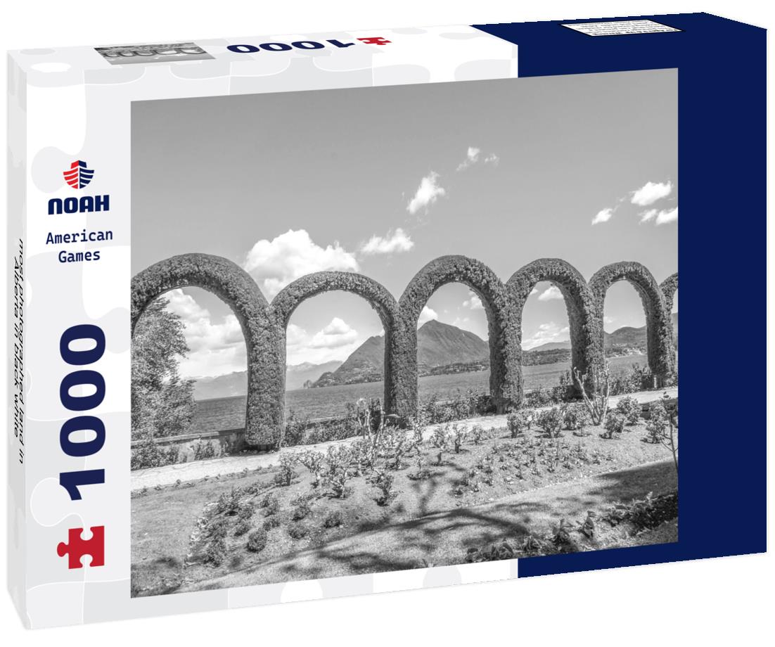 Noah Jigsaw Puzzle most photographed land in Alberta in black white 1000 pieces