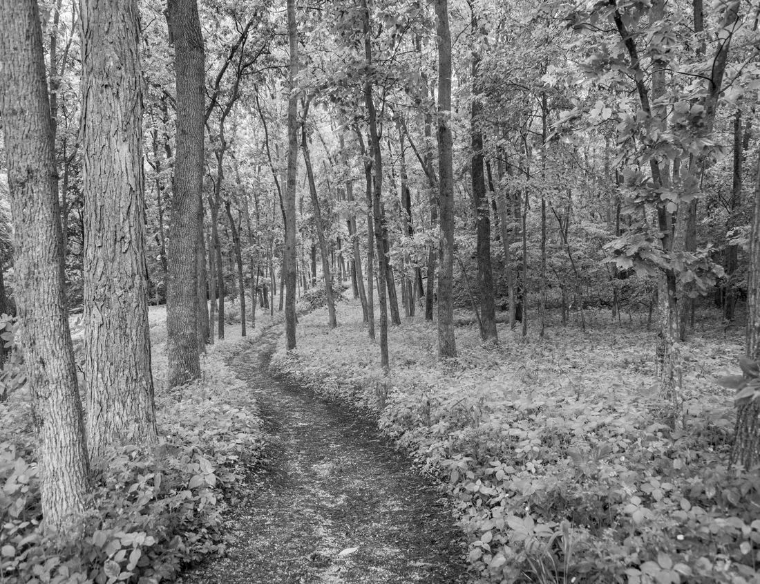 Noah Jigsaw Puzzle The scenic view that runs through Waterton Lake National Park on a beautiful cloudy day in black white 1000 pieces