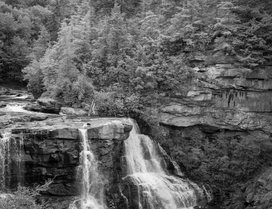 Noah Jigsaw Puzzle Autumn colors in Stevens Creek Dam. Stevens Creek County Park, Santa Clara County, California in black white 1000 pieces