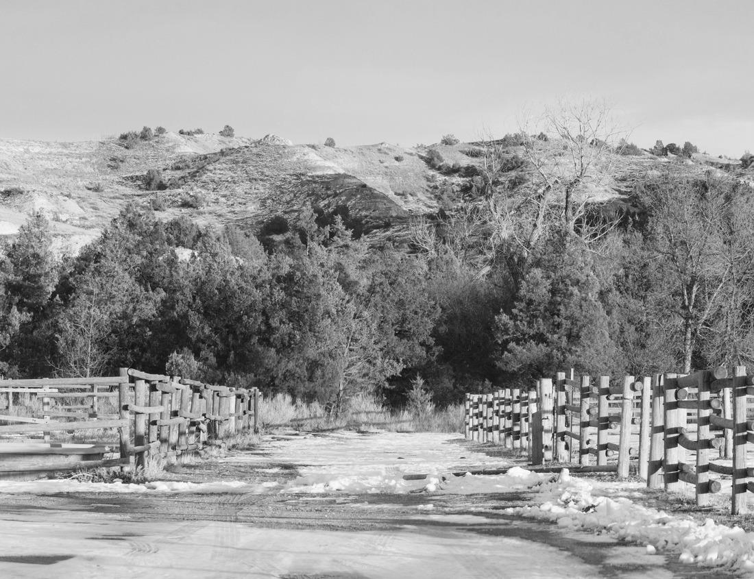 Noah Jigsaw Puzzle A closeup of the Alaskan Brown Bear (Ursus horribilis) in Lake Clark National Park Alaska eating a fish in a lake in black white 1000 pieces