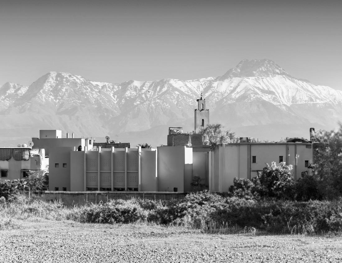 Vermont State House, in Montpelier, VT with fall foliage colors. The capitol is the seat of the Vermont General Assembly 1000pc PuzzleBlack and White