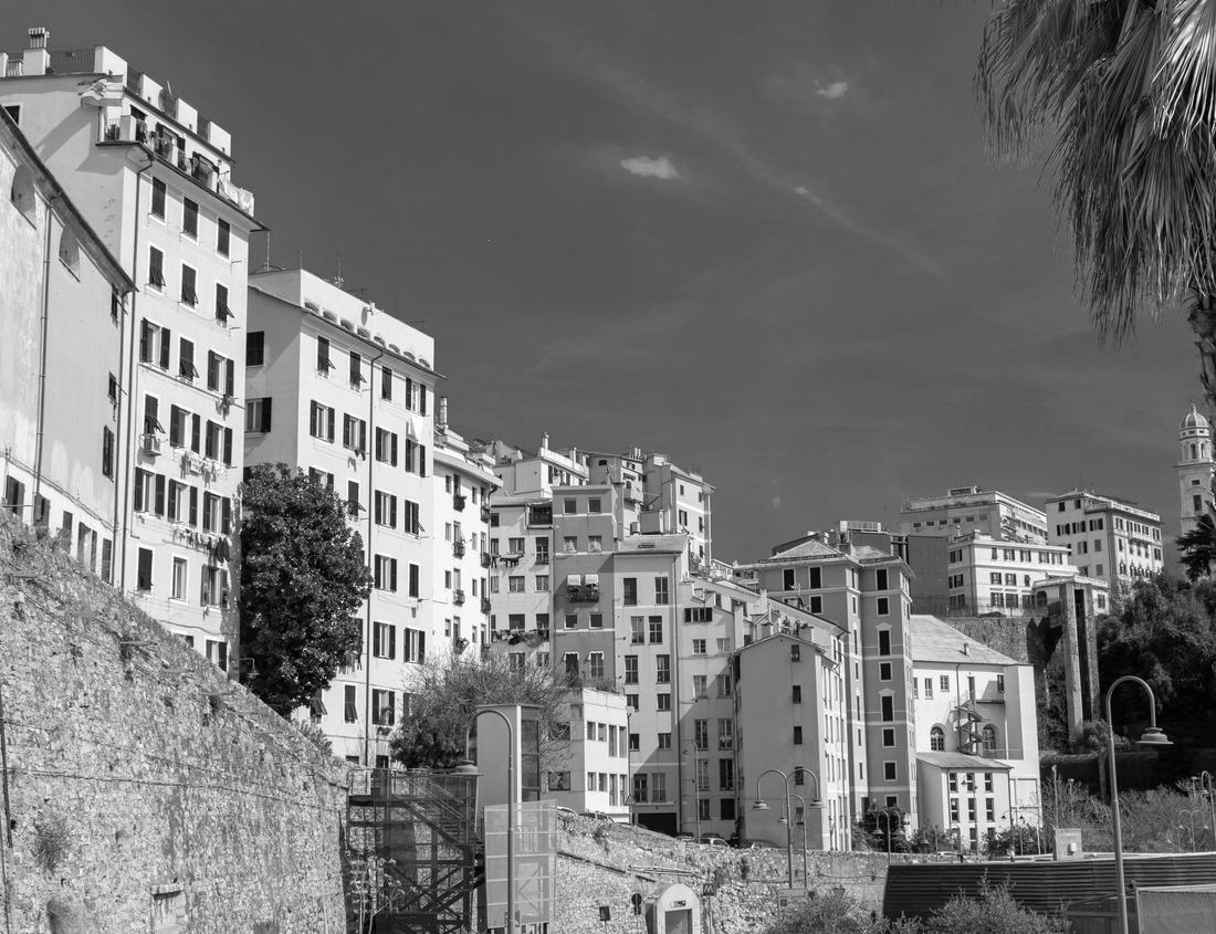 Noah Jigsaw Puzzle Picturesque colorful pink rocks of the Bryce Canyon National park in the winter season, Utah, USA in black white 1000 pieces
