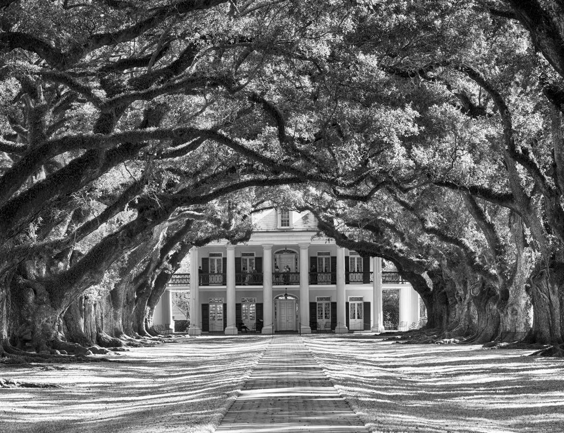 Noah Jigsaw Puzzle Thun, the Swiss city in autumn in black white 1000 pieces