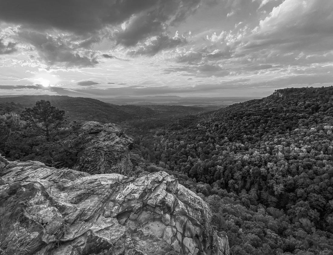 Noah Jigsaw Puzzle Adorable Quokka Standing Up Close on Rottnest Island outside of Perth, Western Australia in black white 1000 pieces