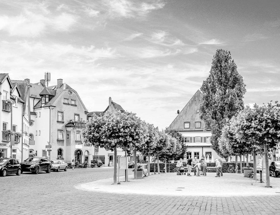 Noah Jigsaw Puzzle A building in Clifton, Arizona, surrounded by palm trees with mountains in the background, in Greenlee County, USA in black white 1000 pieces