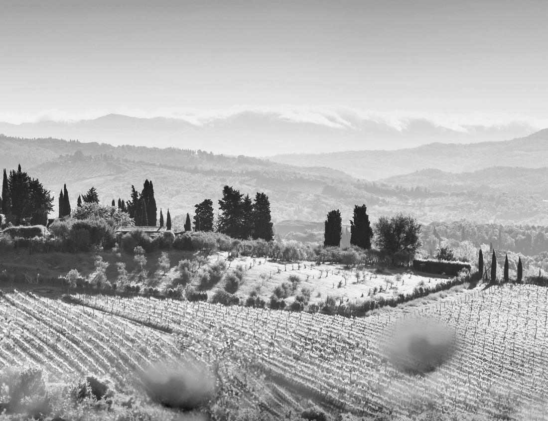 Noah Jigsaw Puzzle Aerial view of blue medina of city Chefchaouen, Morocco, Africa in black white 1000 pieces