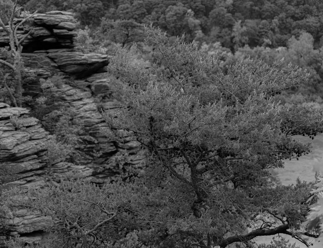 Noah Jigsaw Puzzle Ponta Grossa Parana Brazil Metropolitan Cathedral built in beautiful architecture Paraná Brasil in black white 1000 pieces