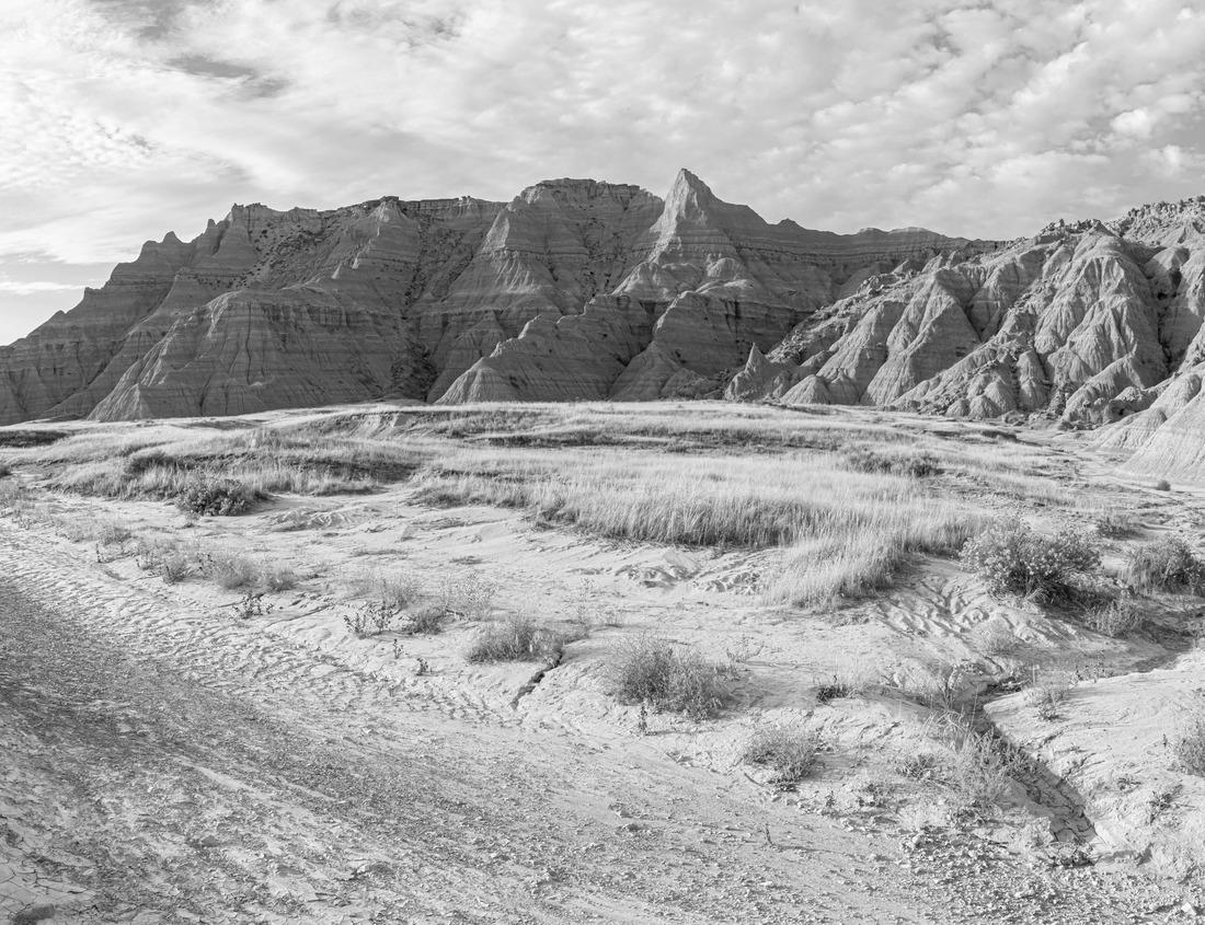 Noah Jigsaw Puzzle Historical city center of Wilmington, NC. Riverwalk along the Cape Fear River in black white 1000 pieces