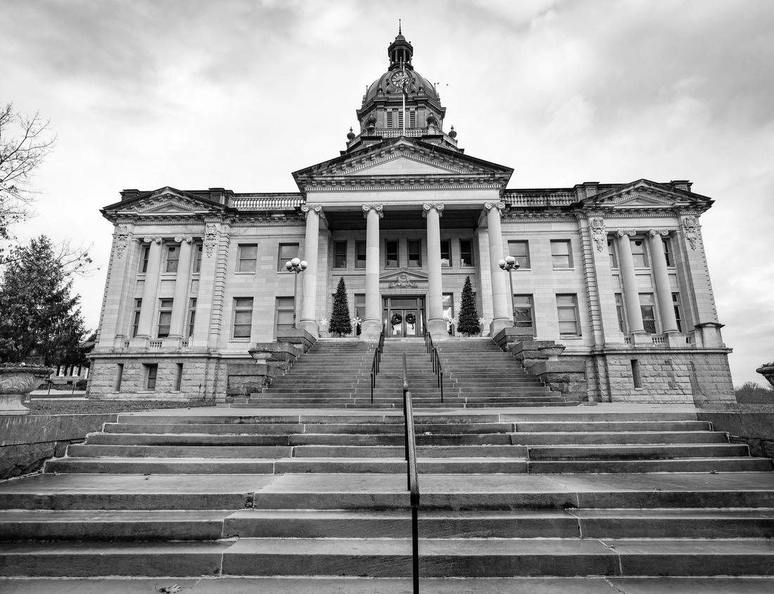 Noah Jigsaw Puzzle Moss and fern in the rainforest. Pacific Rim National Park in Vancouver Island at Tofino. British Columbia. Canada in black white 1000 pieces
