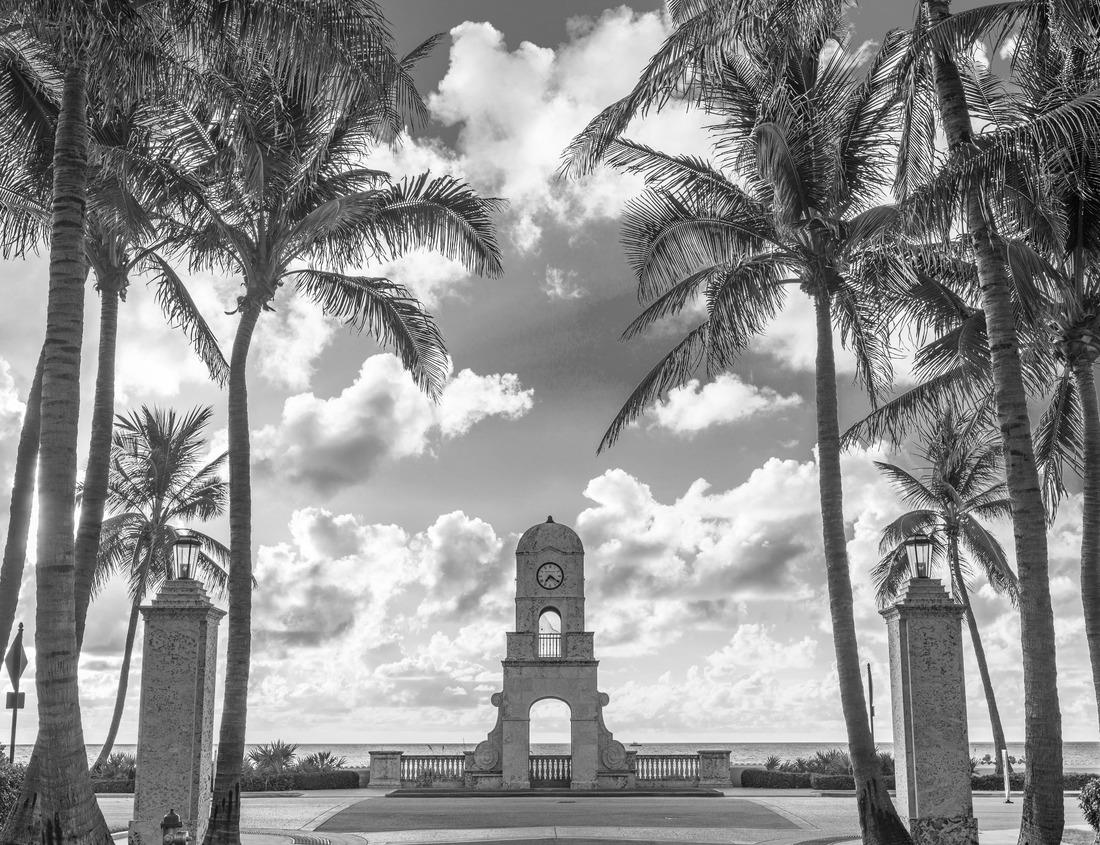 Noah Jigsaw Puzzle Redwoods National Park Pacific Northwest in black white 1000 pieces