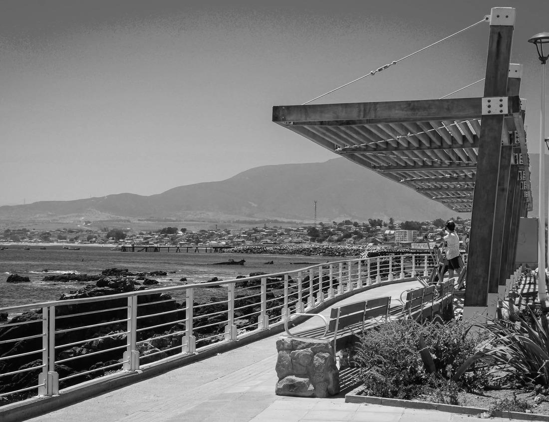 Noah Jigsaw Puzzle Sunny townhouse with beautiful landscaping in Fort Wayne, Indiana in black white 1000 pieces