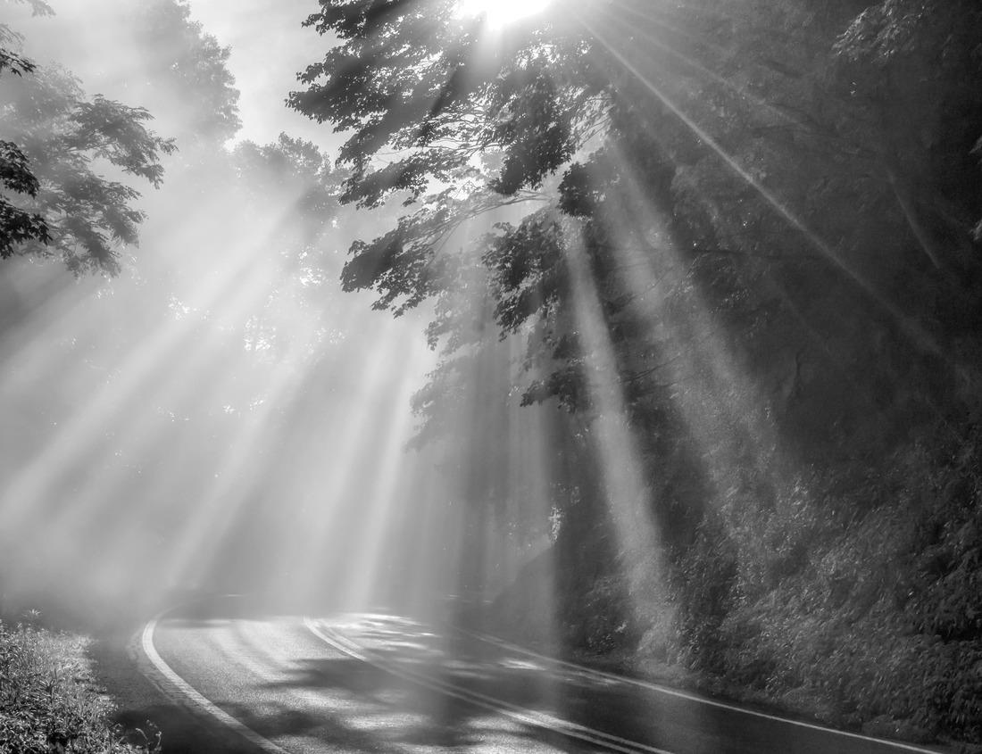 Noah Jigsaw Puzzle Wide view of high sand dunes, Great Sand Dunes National Park, Preserve Colorado, USA in black white 1000 pieces