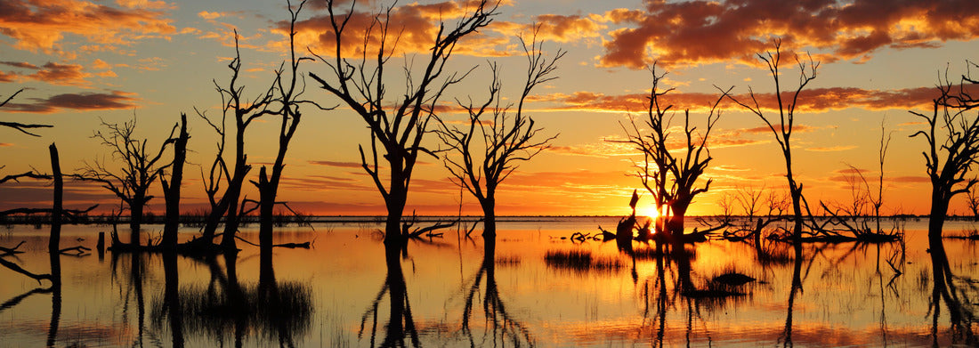 Noah Jigsaw Puzzle Sunset and mirrored reflections on Lake Menindee a large shallow lake in Central Australia panorama 1000 pieces