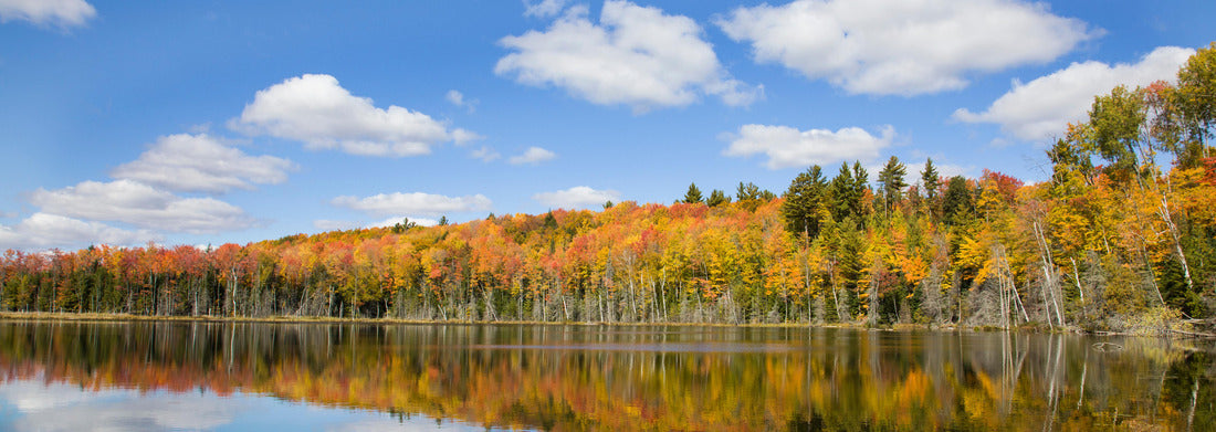 Noah Jigsaw Puzzle Pete's Lake in fall color Schoolcraft County, Upper Peninsula, Michigan panorama 1000 pieces