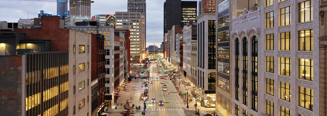 Noah Jigsaw Puzzle Detroit Woodward Ave panorama 1000 pieces