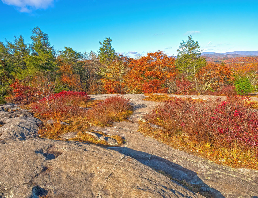 Noah Jigsaw Puzzle Autumn Colors on a Flat Rocky Ridge on the Blue Ridge Parkway in North Carolina 1000 pieces