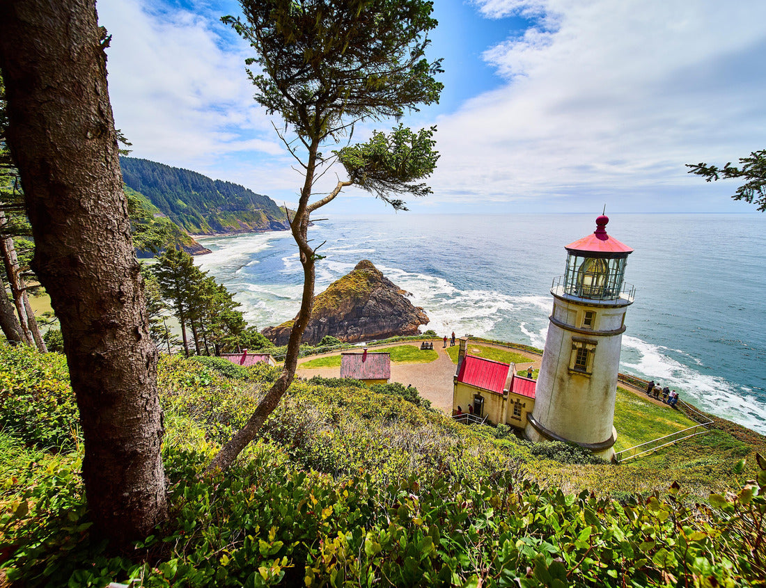 Noah Jigsaw Puzzle Heceta Head Lighthouse Oregon Coast Scenic Cliff View 1000 pieces
