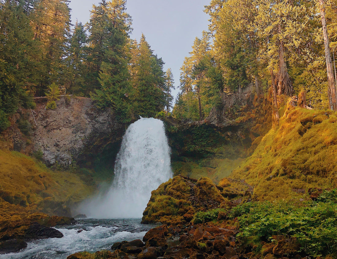Noah Jigsaw Puzzle Koosah Falls in Willamette National Forest, Oregon 1000 pieces