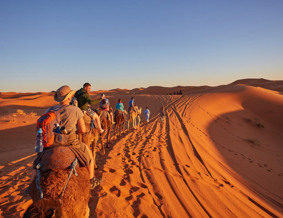 Tourists riding camels, smiling, in the Sahara Desert, Morocco 1000pc Puzzle