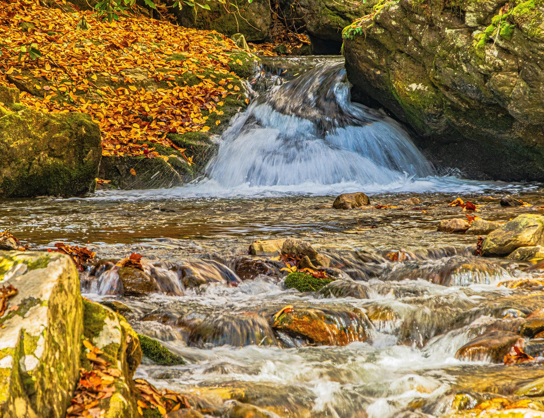 Fall leaves carpet the rocks as the creek flows down river at Rocky Fork Falls in rural Tennessee 1000pc Puzzle
