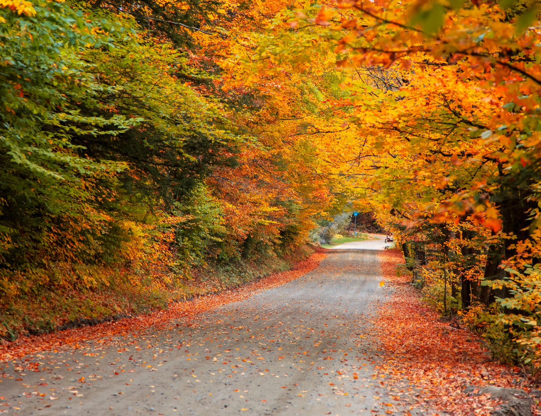 Scenic byway, back roads through rural Vermont, USA in autumn time 1000pc Puzzle