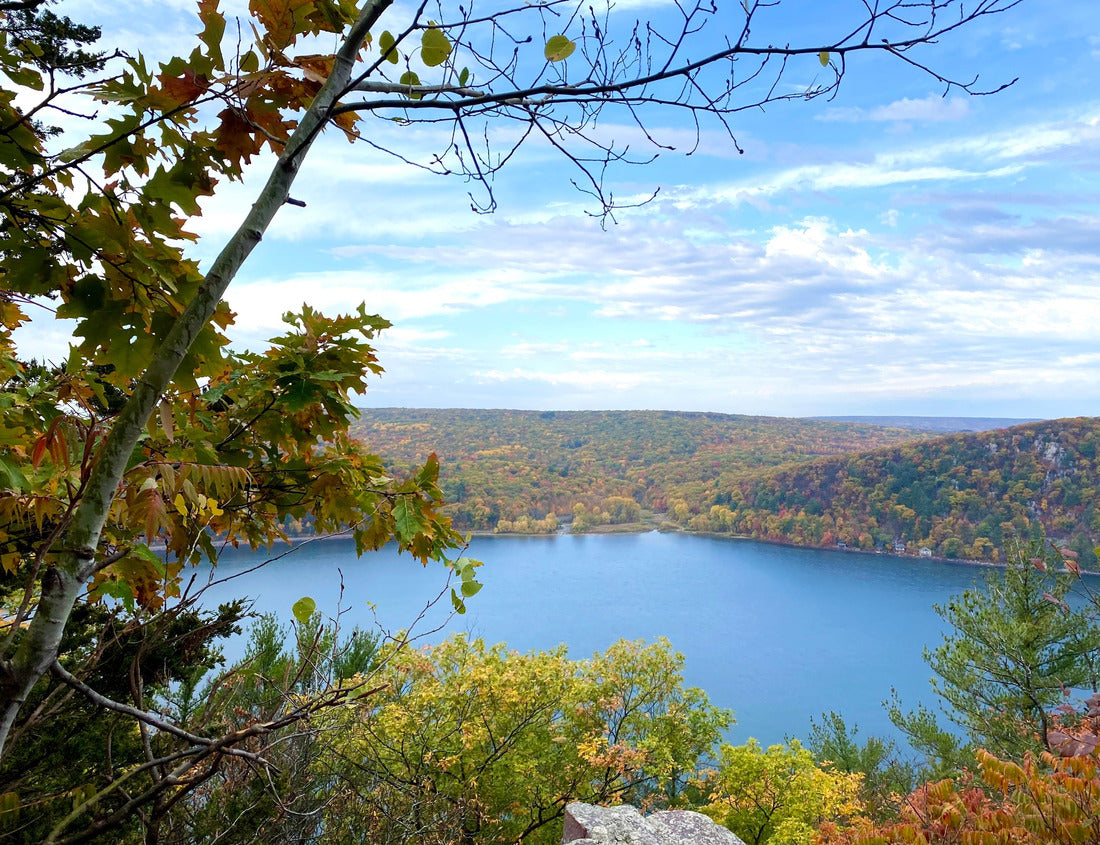 Noah Jigsaw Puzzle A shot from within the forest on Devil's lake capturing the beauty of autumn in Wisconsin through the beautiful hues of yellow and gold 1000 pieces