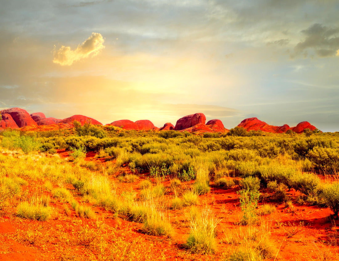 Outback, Northern Territory, Australia 1000pc Puzzle