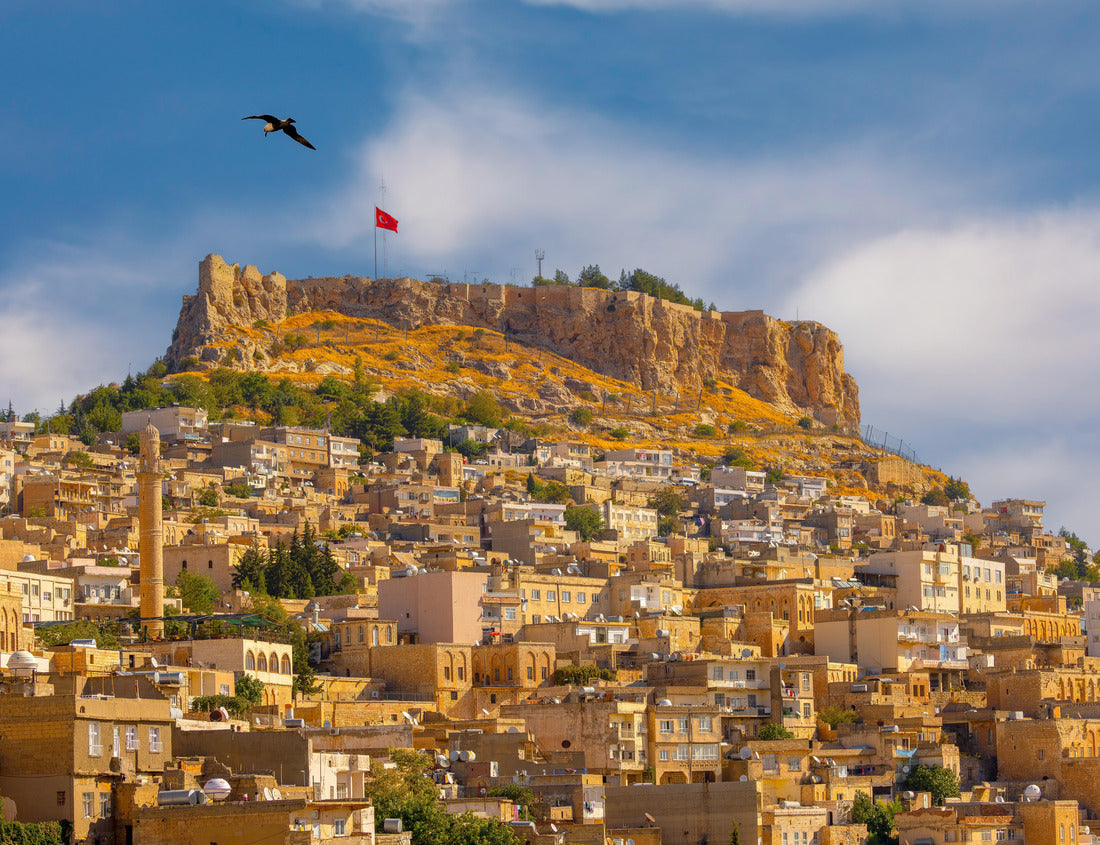 Noah Jigsaw Puzzle Ancient and stone houses of Old Mardin (Eski Mardin) with Mardin Castle, Located South Eastern of Turkey 1000 pieces