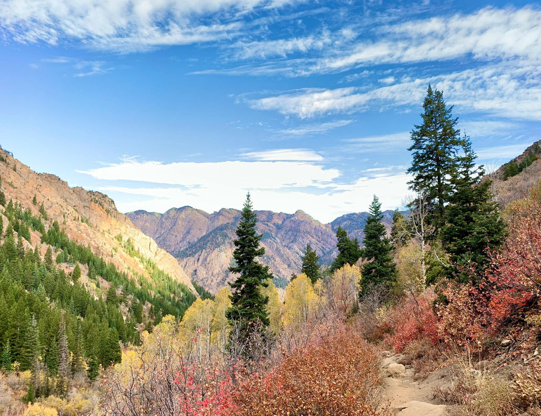 Noah Jigsaw Puzzle Beautiful autumn views in Cottonwood Canyon, Utah 1000 pieces