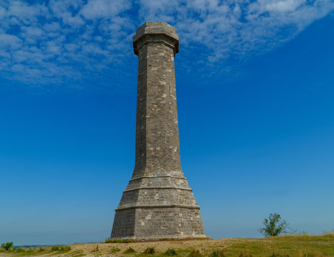Noah Jigsaw Puzzle Hardy's monument in Portesham united kingdom 1000 pieces