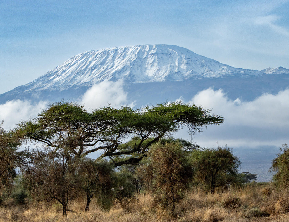 Noah Jigsaw Puzzle Kilimanjaro mount with snow photo from Amboseli National Park in Kenia 1000 pieces