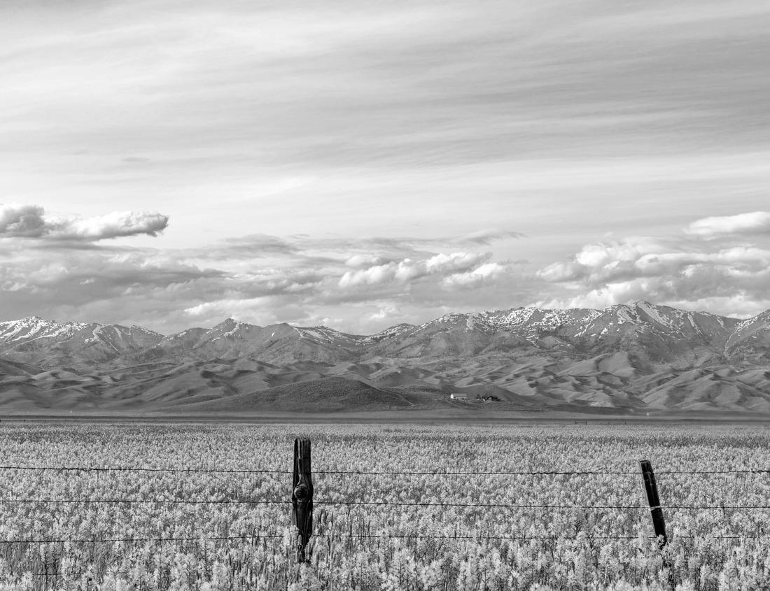 Diamond Valley Lake as seen from a hiking path in Hemet, California 1000pc PuzzleBlack and White