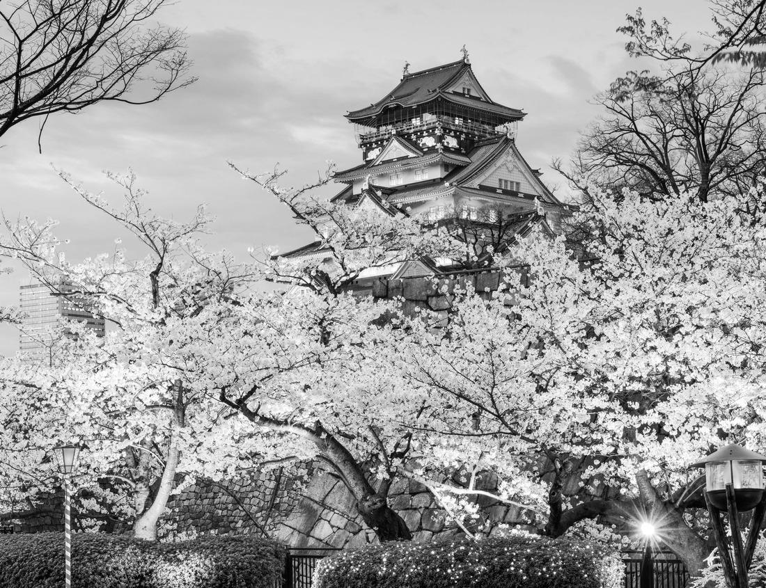 Noah Jigsaw Puzzle Snow storm in South Bend, Indiana in black white 1000 pieces