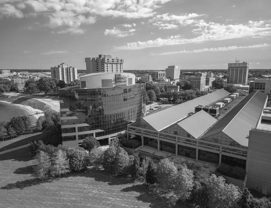 Noah Jigsaw Puzzle Historic City Hall building in Hastings Minnesota, formerly the Dakota County Courthouse in black white 1000 pieces
