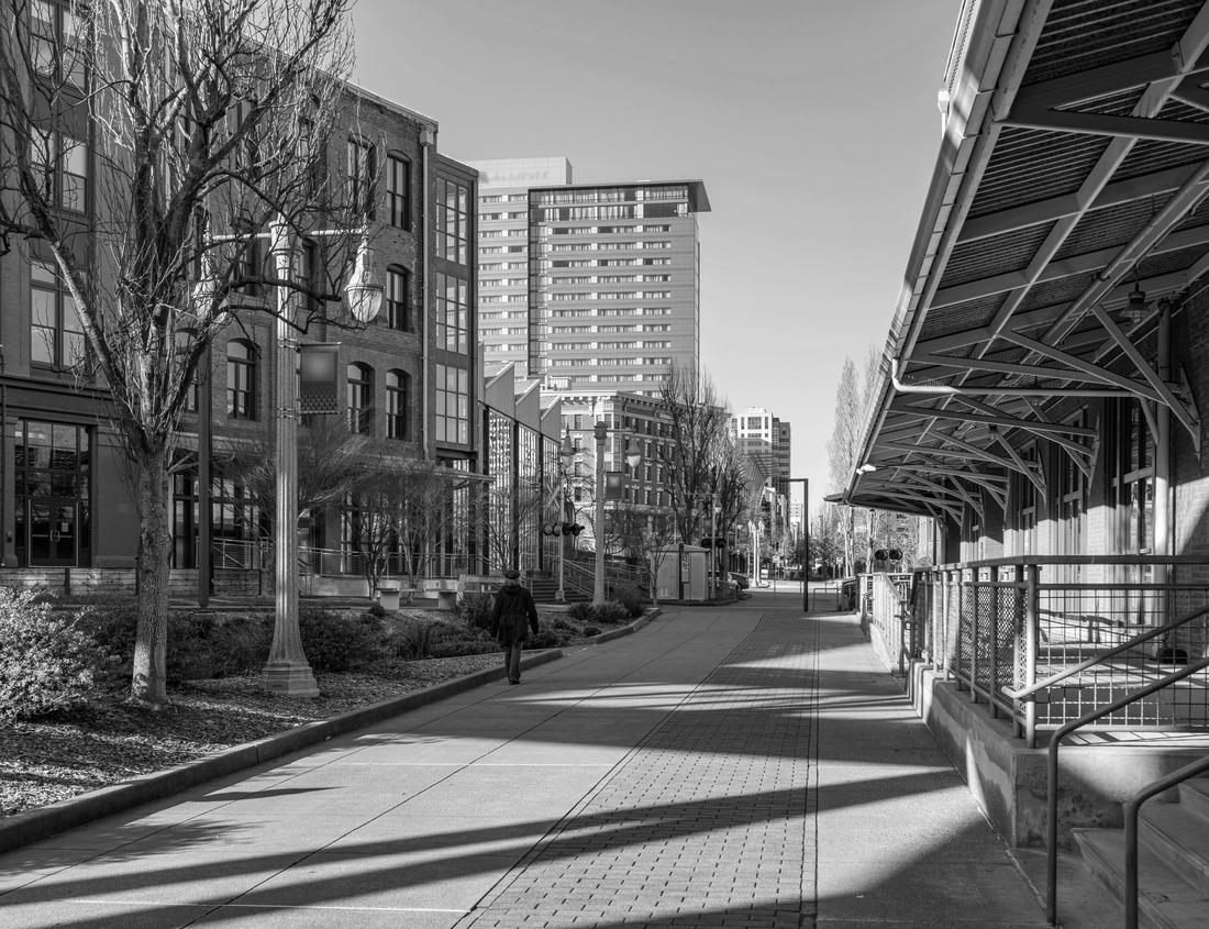 Noah Jigsaw Puzzle This is an aerial view of Washington, DC with the Jefferson Memorial, U.S. Capitol, Washington Monument, and Lincoln Memorial in black white 1000 pieces