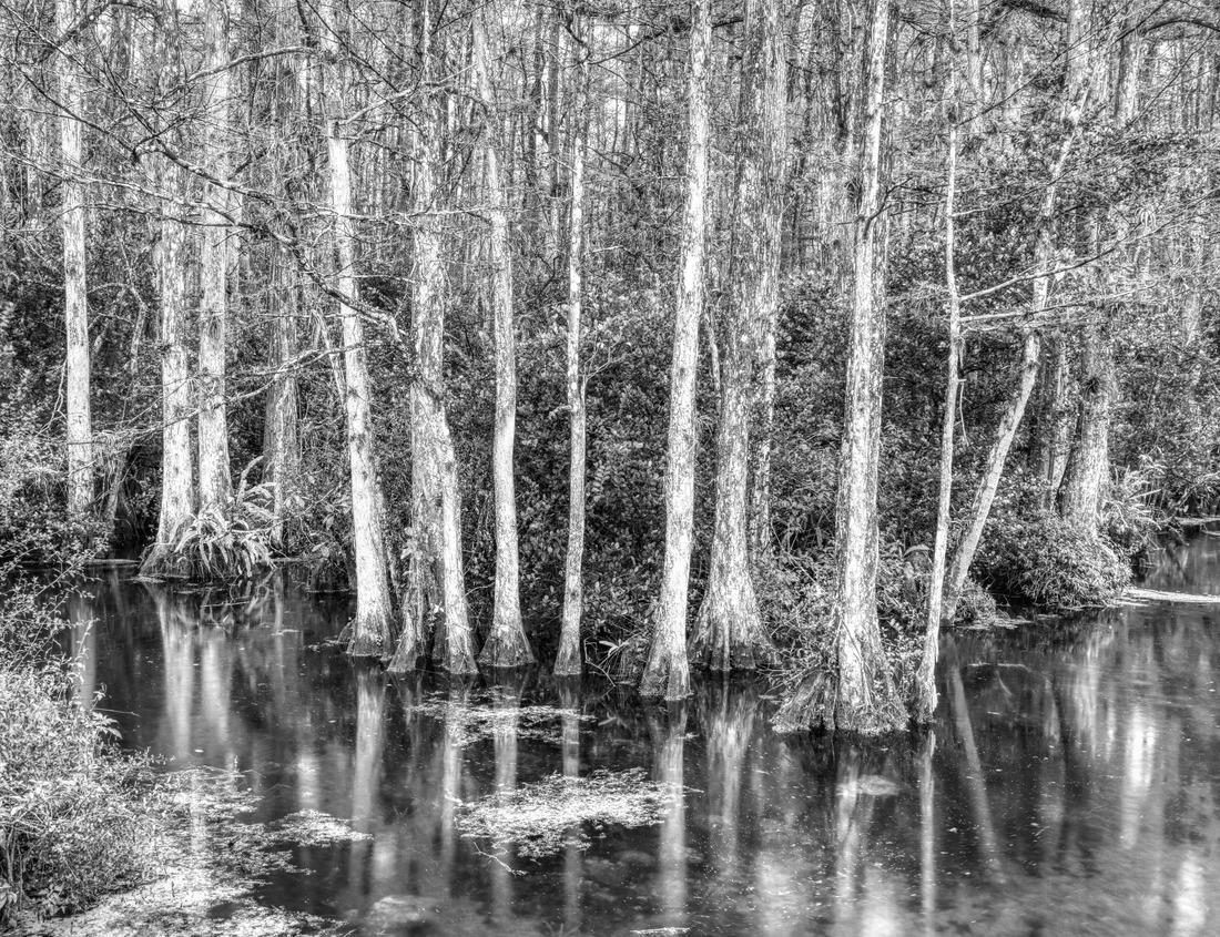 Noah Jigsaw Puzzle Skyline of San Diego, California, from Coronado Bay in black white 1000 pieces