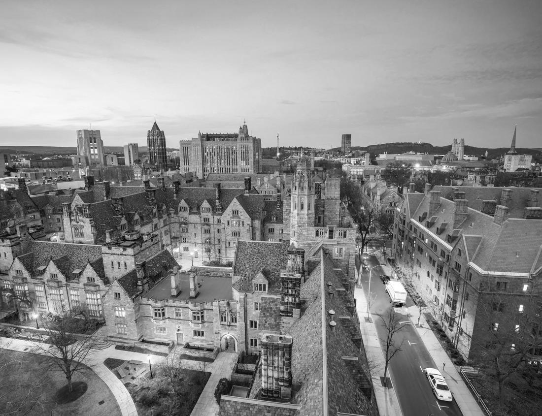 Noah Jigsaw Puzzle Skyline of St. Petersburg, Florida in black white 1000 pieces