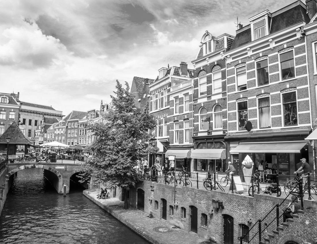 Noah Jigsaw Puzzle Grand Wash Trail in Capitol Reef National Park in black white 1000 pieces