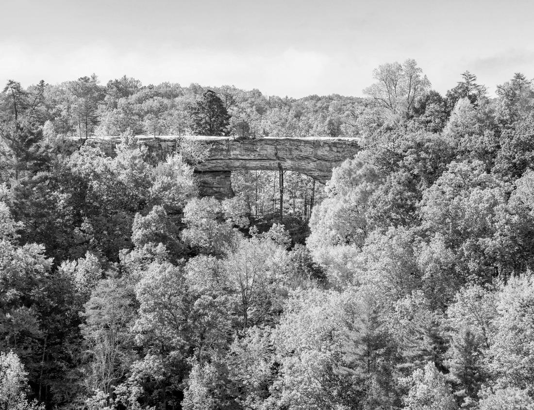 Noah Jigsaw Puzzle Harbor in Montague, Prince Edward Island, Canada with fishing boats, lobster traps and cottages along the dock in black white 1000 pieces
