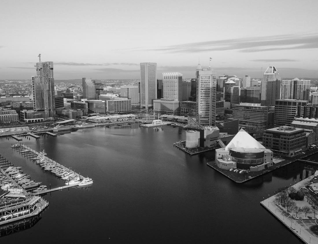 Noah Jigsaw Puzzle Xi Beach. The island of Cephallonia, Greece in black white 1000 pieces