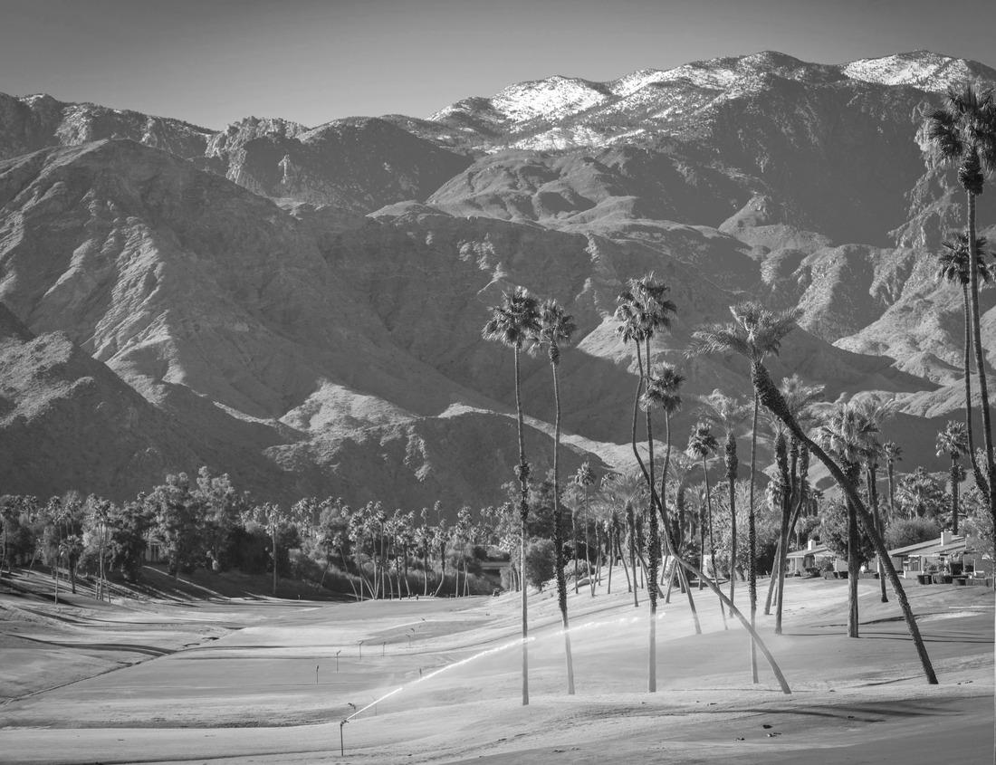 Noah Jigsaw Puzzle Skyscraper at the waterfront in downtown Pittsburgh, Pennsylvania, USA in black white 1000 pieces