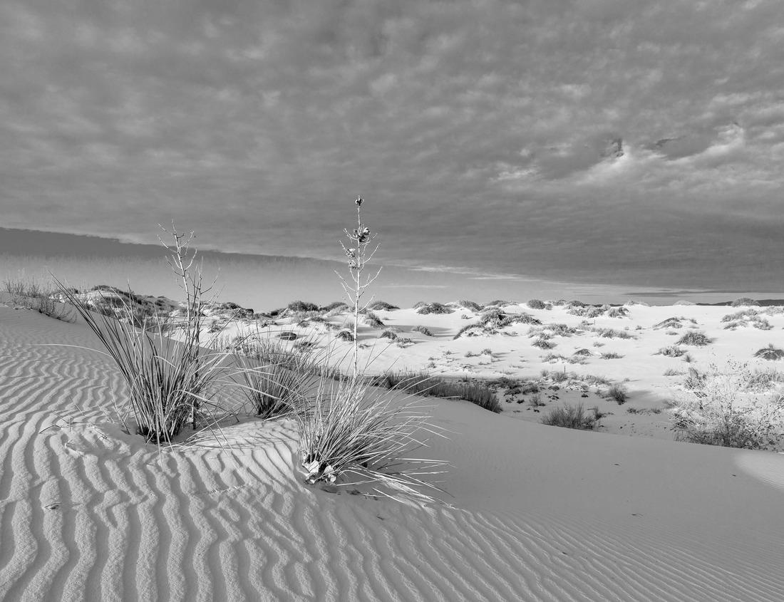 Noah Jigsaw Puzzle Overlooking the tiny village of Portloe Cornwall England UK in black white 1000 pieces