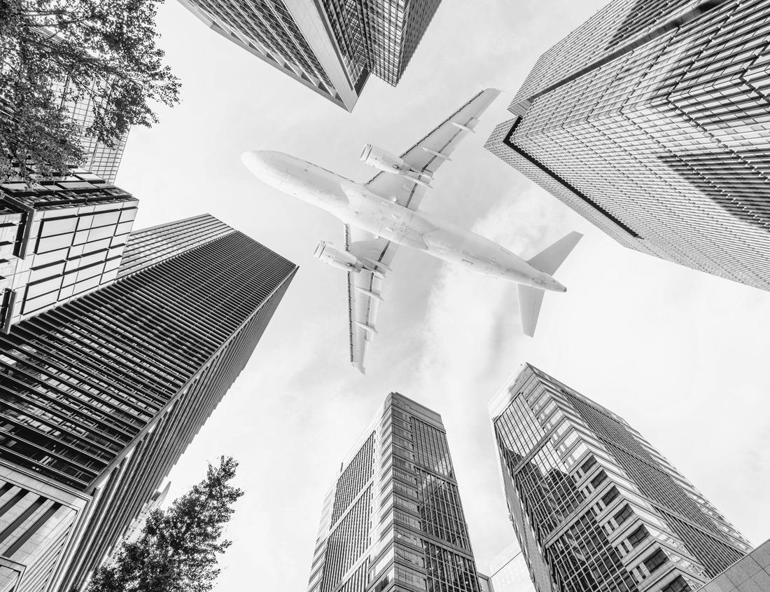 Noah Jigsaw Puzzle Sea lions, Channel Islands National Park, California, USA in black white 1000 pieces