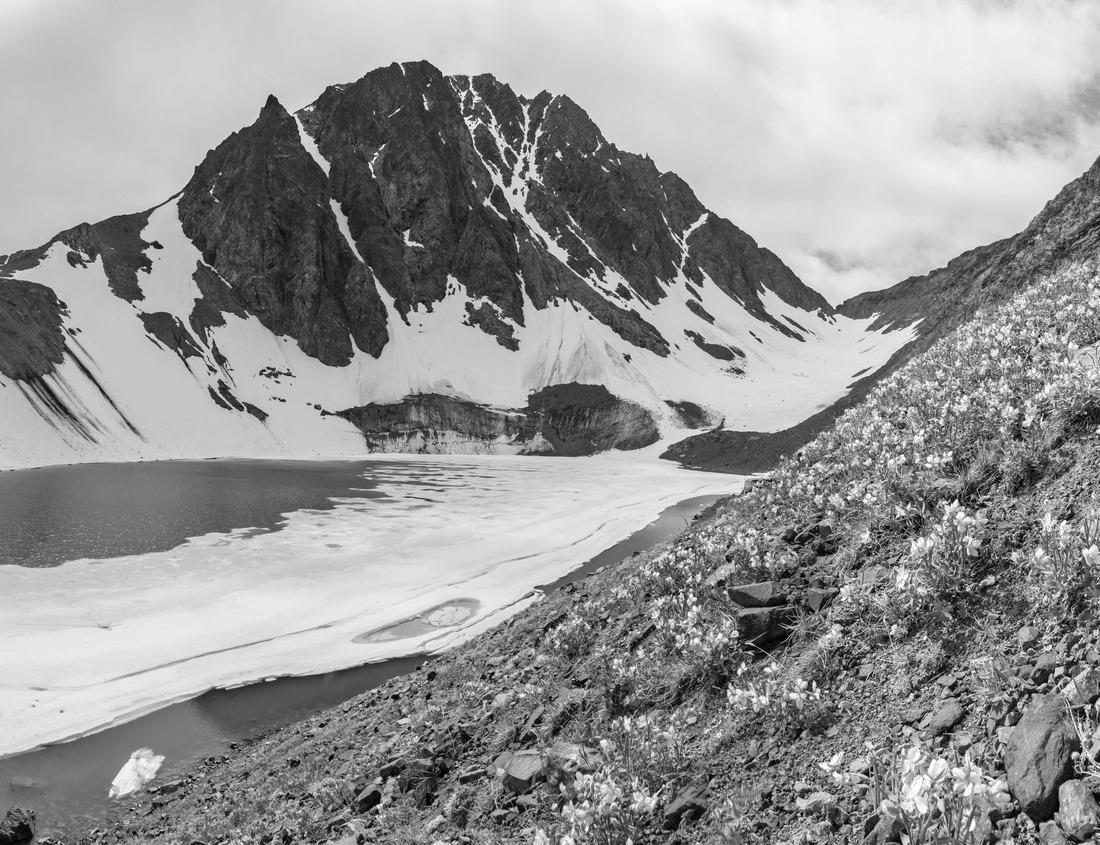 Noah Jigsaw Puzzle View off the coastline in Cabrillo National Monument in San Diego, California in black white 1000 pieces