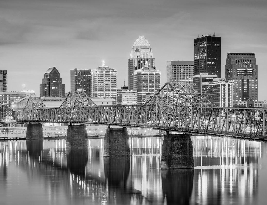 Noah Jigsaw Puzzle Bald Cypress Knees, Congaree National Park in black white 1000 pieces